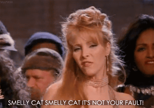 "Smelly smelly smelly, really bad, really smelly cat."