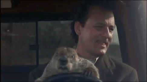 You have officially lost all hope and have made the conscious decision to turn to a rodent as a means of reassuring you that everything will be okay.
