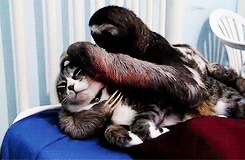 Such tender lovin'.