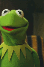 18 Reasons Why Kermit The Frog Is Irreplaceable