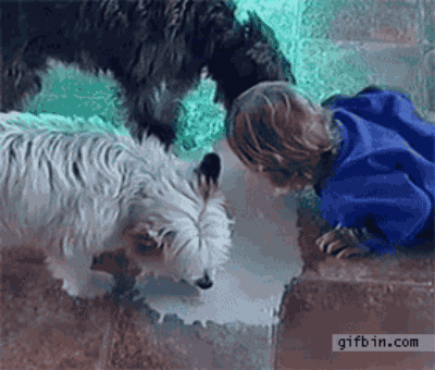 With the help of some furry friends.