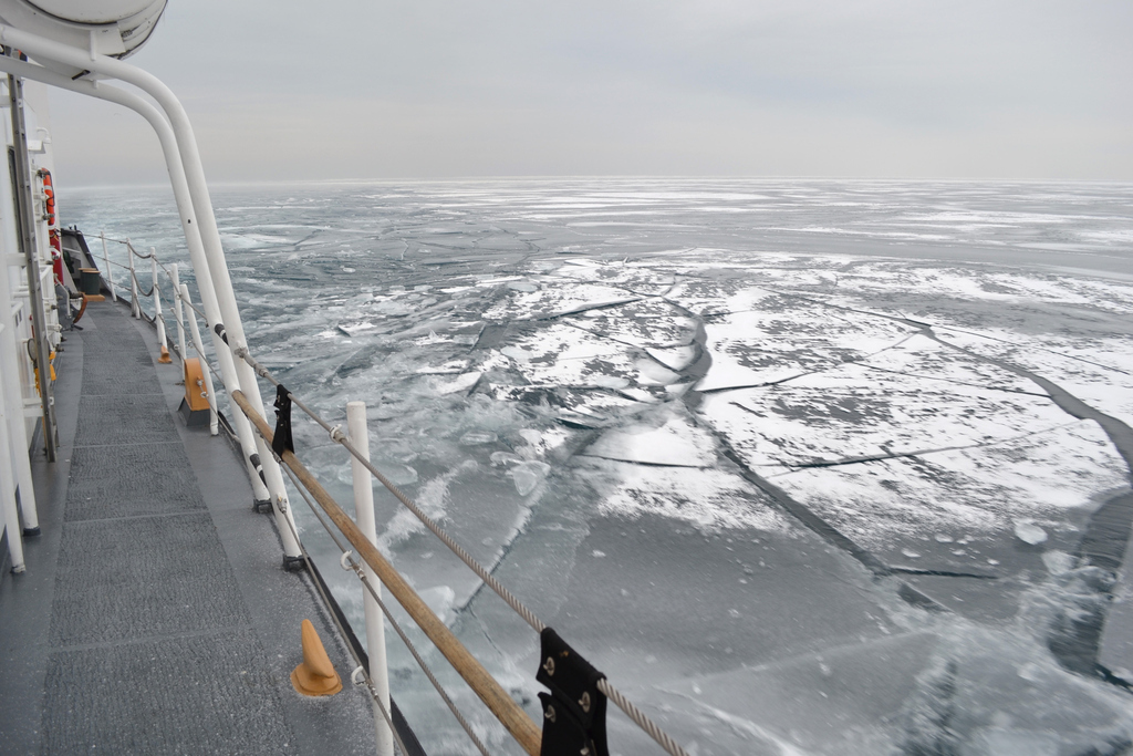 The Great Lakes Are Nearly Frozen Over For The First Time In 20 Years