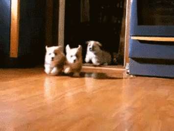 Uncage those puppies after a long day.