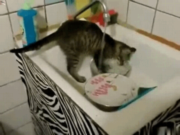 Nunca les enseñaron a tus compañeros de habitación. (Tip profesional: si aún hay comida en el plato, INTENTA DE NUEVO).