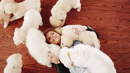 Snuggling with a pup is way better than an electric blanket or body pillow.