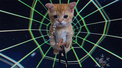 Gravity is up for a whopping ten nominations, including Best Picture (co-producer David Heyman is a Brit) and Achievement in Visual Effects, which in this case were created in studios in the UK. Despite a marked lack of twerking, this film (and this weepy cat) are both out of this world (geddit?!).