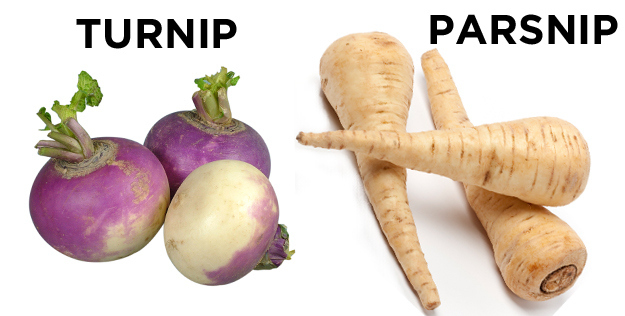 turnips vs parsnips