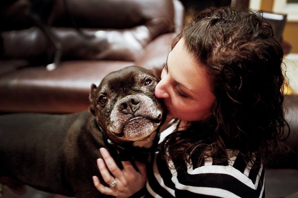 In the meantime, Mr. Mo’s owners and 8 rescue dog siblings are doing everything they can to make sure his last days are filled with love, joy and fun.