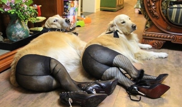 Those gams though...