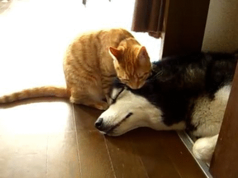 Furious, relentless love.