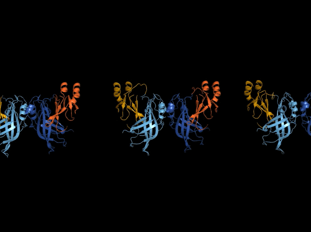 Israeli citizens and professors Arieh Warshel and Michael Levitt (alongside fellow chemist Martin Karplus) were awarded the 2013 Nobel Prize in Chemistry for their breakthroughs in modeling proteins — a practice that can inform everything from evaluating food digestion to customizing prescription remedies.