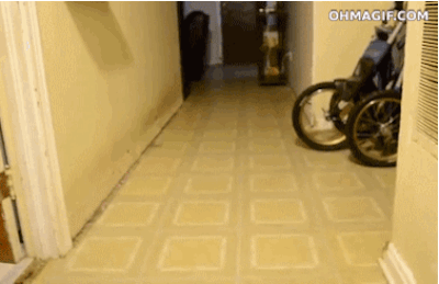 "Argggggh, this freshly washed floor is truly slowing my roll."