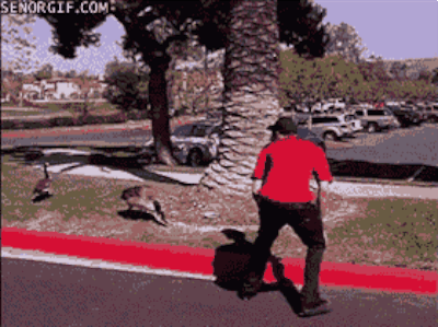 Ahhh, get out!