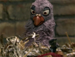 Unbiased information from an equally interested source? Excellent. * cue evil laugh *