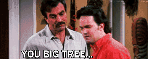 Damn the big trees.