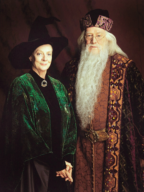 Access to unlimited chocolate frogs, Butterbeer, Quidditch and, oh yeah, MAGIC.