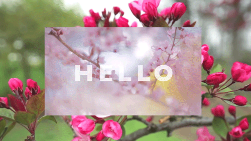 You've lived to suffer through another allergy season.
