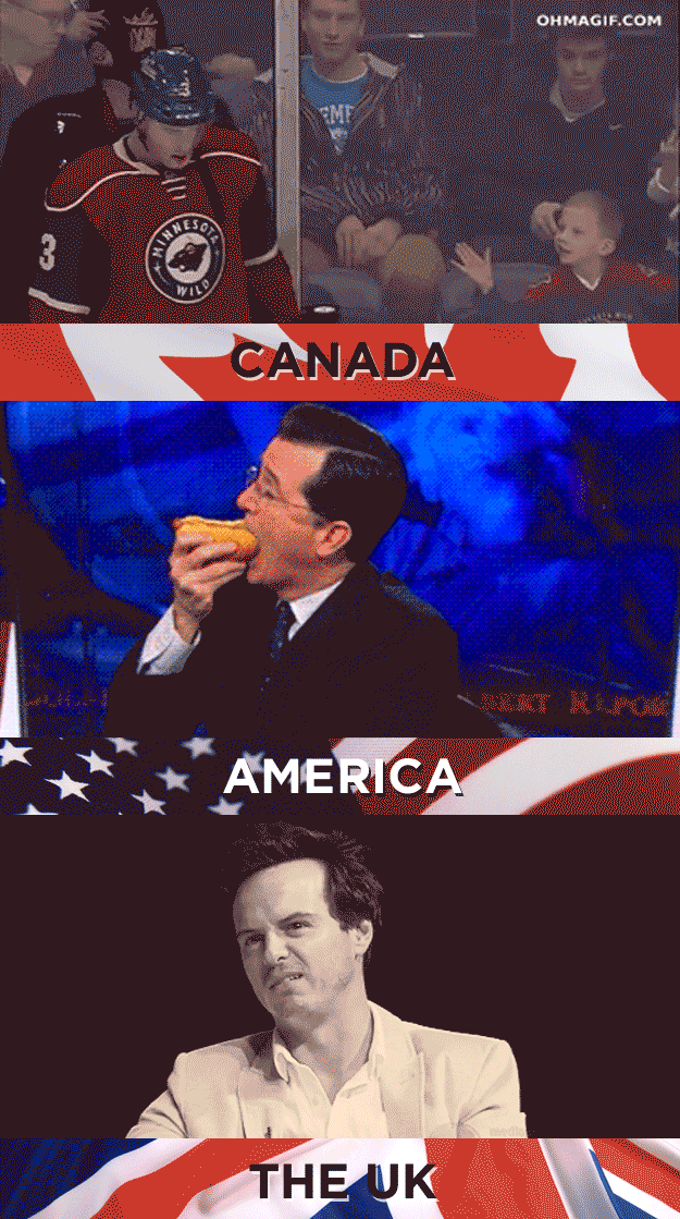 Image result for canada vs america