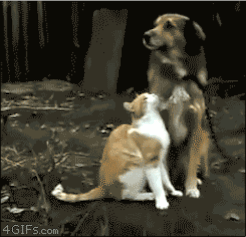 ...now that your mouth smells good and all.