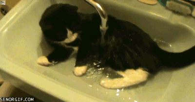 "Wait, what is this?"