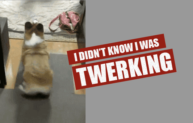 In which fascinating tales of unfortunate circumstance and unintentional twerking are told and dramatized. Sure to shake you to your very core.