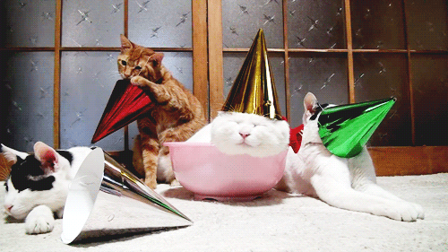 "This is a brainstorm, duh!"