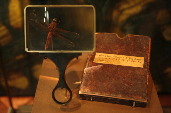 Darwin&#x27;s book and magnifying glass