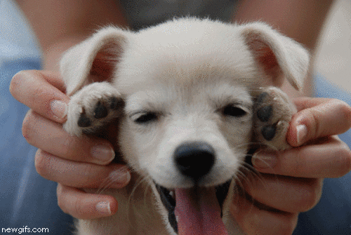 Seriously, look at that face and try not to smile. I dare you!