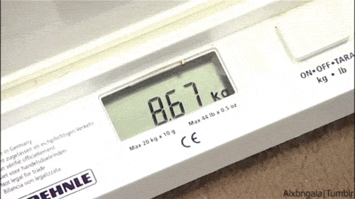 The optimal time to step on the scale is after going to the bathroom but before eating breakfast.