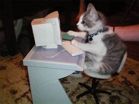 The British film, up for Best Picture this year, was produced by Brits Steve Coogan, Gabrielle Tana and Tracey Seaward. Coogan and Jeff Pope are also up for Best Adapted Screenplay for the film. (Above: a cat adapting a screenplay, possibly.)