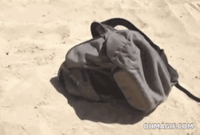 That's right, sand. Why? Because sand is warm and doesn't melt all over your life like snow does.