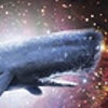 drspacewhale