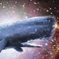 DrSpaceWhale profile picture