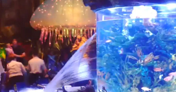 A Giant Aquarium Burst Open At A Dinosaur-Themed Disney Restaurant
