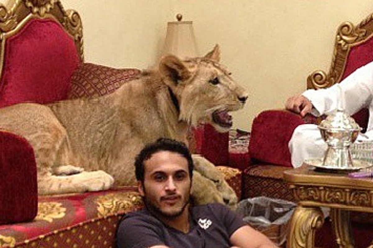 Los chicos ricos con leones de Instagram
