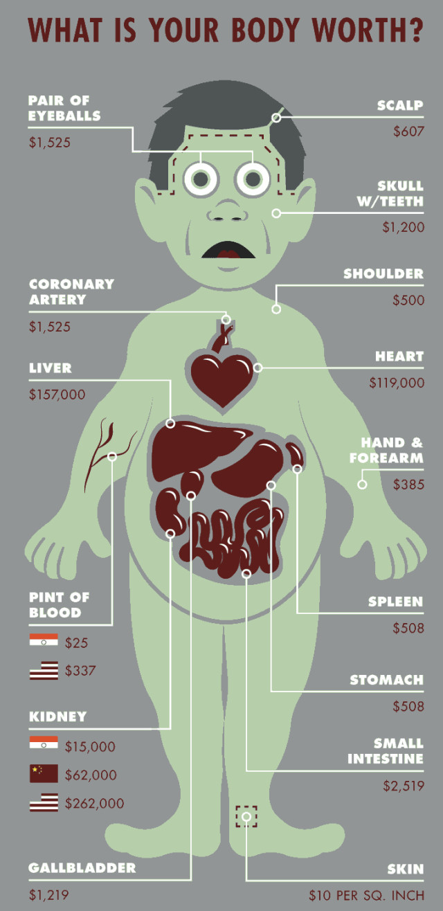 This Is How Much Your Body Parts Are Actually Worth