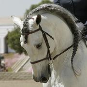 What Haircut Should You Actually Have?