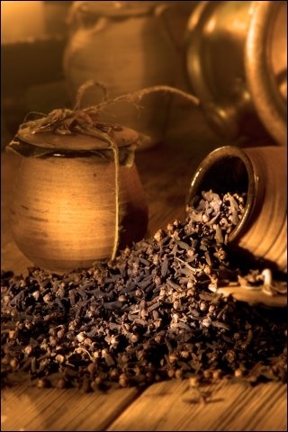 Thanks to their association with clove cigarettes (the narcotic staple of 80s subcultures), cloves are now considered pretty Goth. A pot of cloves in the kitchen will make it all oldy-worldy and smell lovely and dark at the same time.€10.00, Olde Hansa