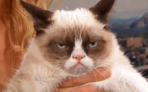 "Where are you from?" "Where are you going?" "How long are you here?" "What's the WIFI password?" Of course it's awesome meeting new people on the road but it gets tiresome having the exact same convo with everyone you meet.