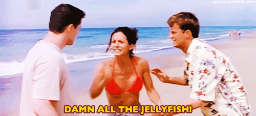 Jellyfish stings hurt.