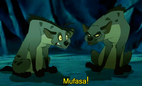 This funny and assertive hyena is the leader of the pack.