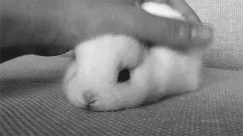 Good morning petting will help me up. In ten minutes.