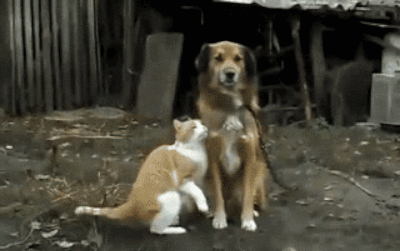 "Yes, and...?"