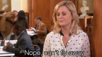 As much as I want to, American Airlines doesn't accept old textbooks as a form of currency.