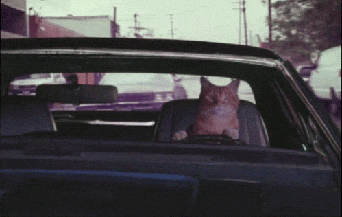 HOW DO I DEAL?! Throw some shade in that rearview mirror. They're paying attention.