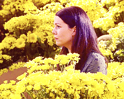 Max and Lorelai might not have worked out, but his proposal was pretty classy. Lorelai wanted there to be a thousand yellow daisies and so there were. He couldn't get a horse though.