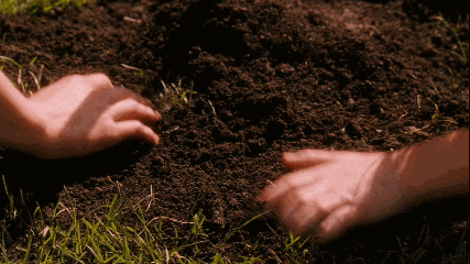 Not only does it reduce your household's garbage, it's good for your garden! (And you can even make your own compost bin for only $5.)