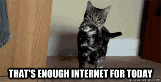 A secret lab was working on a “deep learning” robot — a robot that could go online and teach itself about the world. And what did the robot teach itself to do? Look at pictures of cats on the internet. When unsupervised, it went to YouTube and taught itself to recognise pictures of cats. Which is pretty much what you do when you're left alone at work.