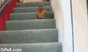 GO ON WITHOUT ME
