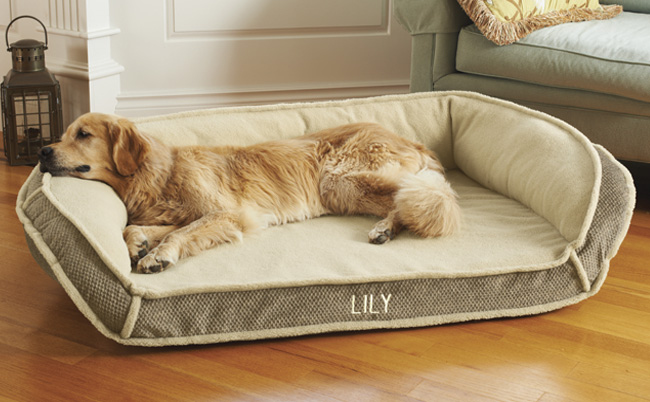 19 Cozy Pet Beds That You Totally Want To Sleep In